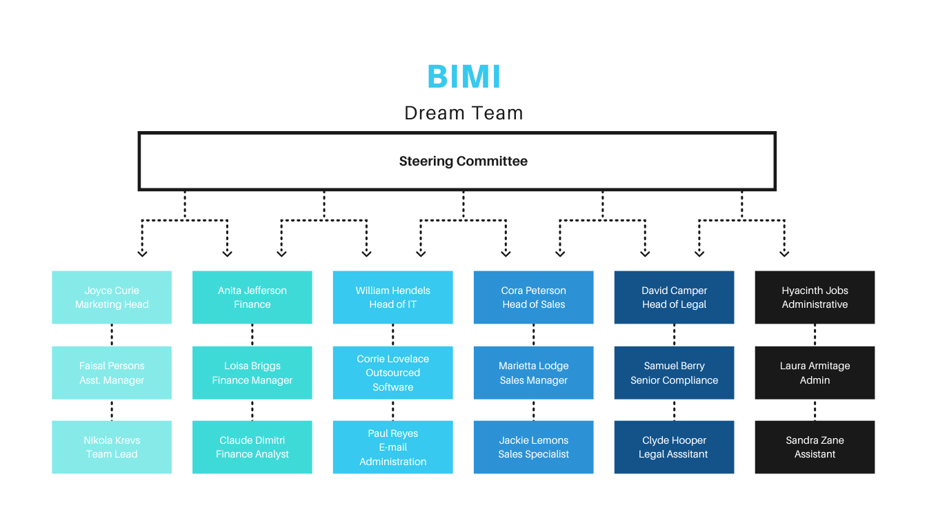 L'organigramme de l'équipe de rêve de BIMI est composé des services marketing, financier, informatique, commercial, juridique et administratif.